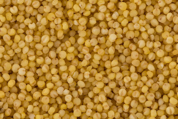 Dry millet closeup