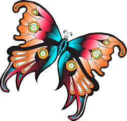 Векторное изображение разноцветная тропическая бабочка изолированная на белом фоне