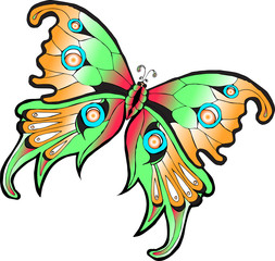 Векторное изображение разноцветная тропическая бабочка изолированная на белом фоне