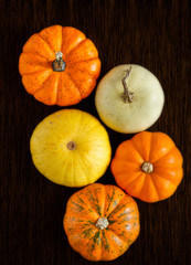 Autumn Pumpkins on Dark Surface