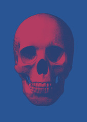 Naklejka premium Pink engraving skull front view on blue BG