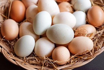 Basket of Hen and Duck Eggs
