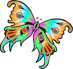 Векторное изображение разноцветная тропическая бабочка изолированная на белом фоне