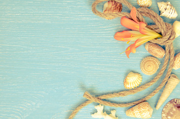 Fototapeta na wymiar summer background made of seashells and Maritime objects