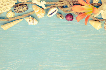 summer background made of seashells and Maritime objects