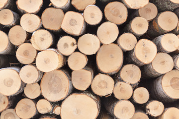 A stack of logs
