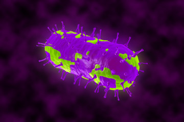 3D render of a bacterium. The virus infects cells of the immune system.