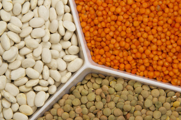Pulses 