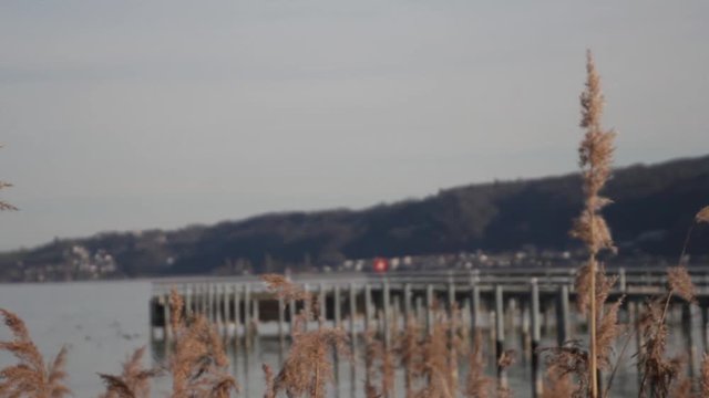 Bodensee Ufer