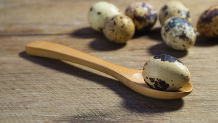 Boiled partridge eggs wooden desk, one in a spoon