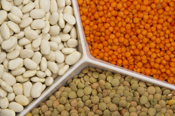 Pulses 