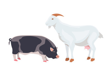 Cartoon Vector Illustration Set of Farm Animals isolated. Goat and pig .