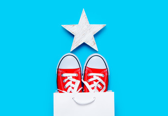 big red gumshoes in cool shopping bag and beautiful star shaped toy on the wonderful blue background