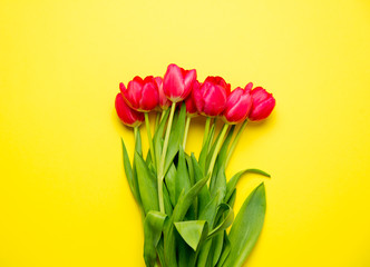 bunch of beautiful red tulips lying on the wonderful yellow background