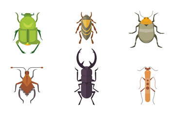 Set of insects flat style vector design icons. Collection nature beetle and zoology cartoon illustration. Bug icon wildlife concept