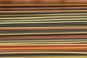 conchiglie pasta, pasta, spaghetti, tomato pasta, regular pasta, spaghetti pasta,  spinach pasta, tricolors pasta, 