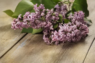 Poster Sering The branch of a lilac on a wooden surface  © maria1701