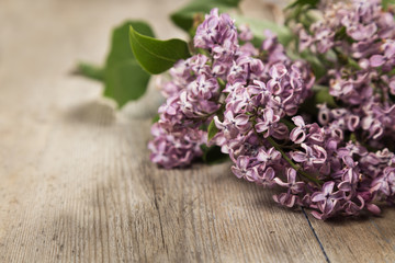 The branch of a lilac on a wooden surface