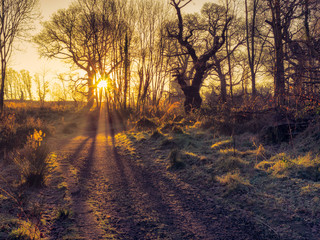 Northern Ireland countryside morning sunrise
