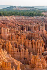 Bryce Canyon Sunrise Hoodoos