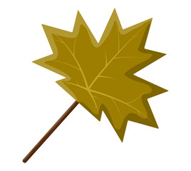 Fototapeta premium maple leaf vector symbol icon design.