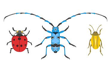 Insect icon flat isolated vector illustration.