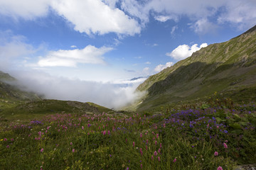 Fototapeta premium view of the highland from north of turkey