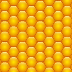 Honeycombs with honey. Background texture.