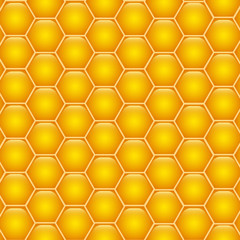 Honeycombs with honey. Background texture.