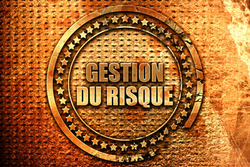 French text "gestion du risque" on grunge metal background, 3D r