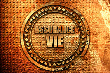 French text "assurance vie" on grunge metal background, 3D rende