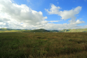 Castelluccio di Norcia, umbria