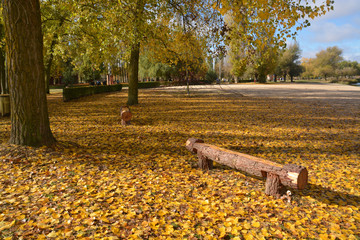 parque en otoño
