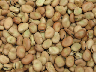 Broad bean background