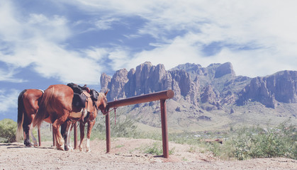 Vintage Old Wild West in the desert with mountains and horses