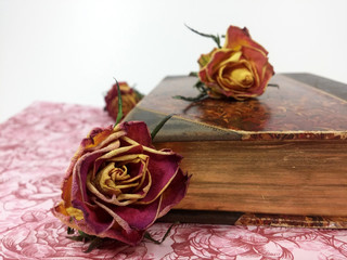 Obraz premium Stillleben aus der antiken Bibliothek