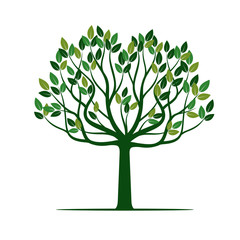 Fototapeta premium Green Tree with Leafs. Vector Illustration.