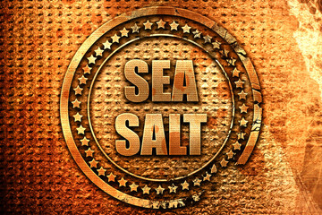 sea salt, 3D rendering, metal text