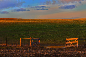 Furtka Do Wiosny © Wojciech Lisiński