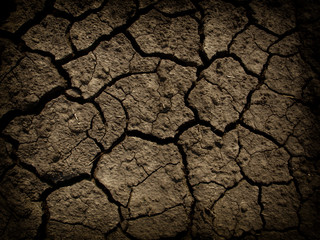 dry land