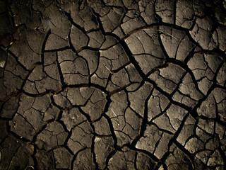 dry land