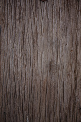 texture old wood background