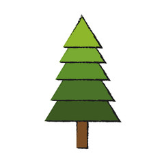 pine tree icon over white background. vector illustration
