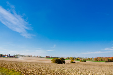 Fototapeta premium autumn day