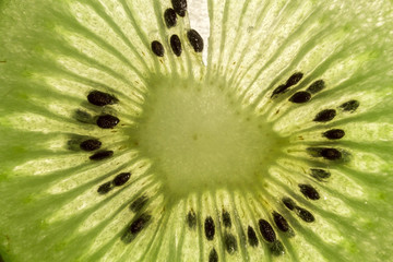 Slice of a kiwi fruit