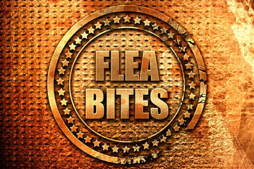 flea bites, 3D rendering, metal text