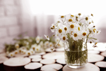 Chamomile bouquet in glass vase on wooden background