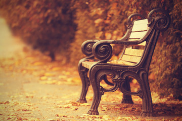 Vintage bench in beautiful autumn park - obrazy, fototapety, plakaty