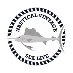nautical frame with sea life vector illustration design