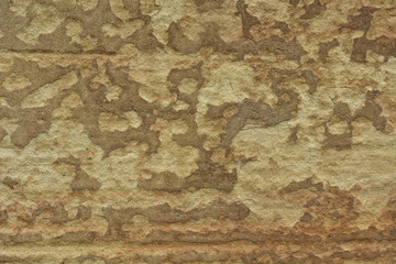 cement texture background